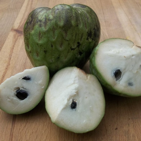 Cherimoya