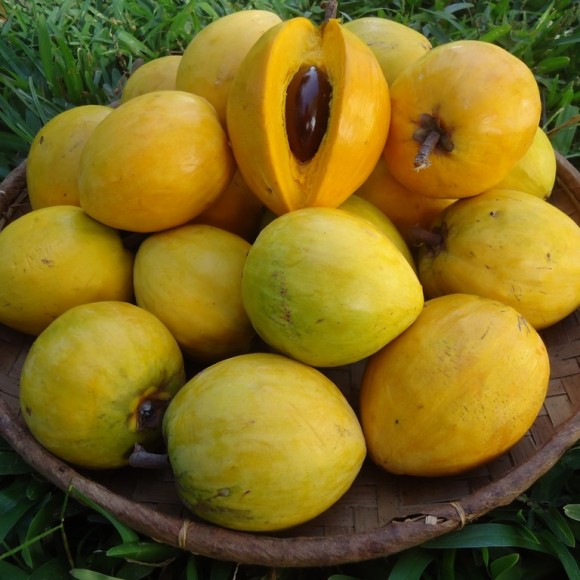 plateau de fruits