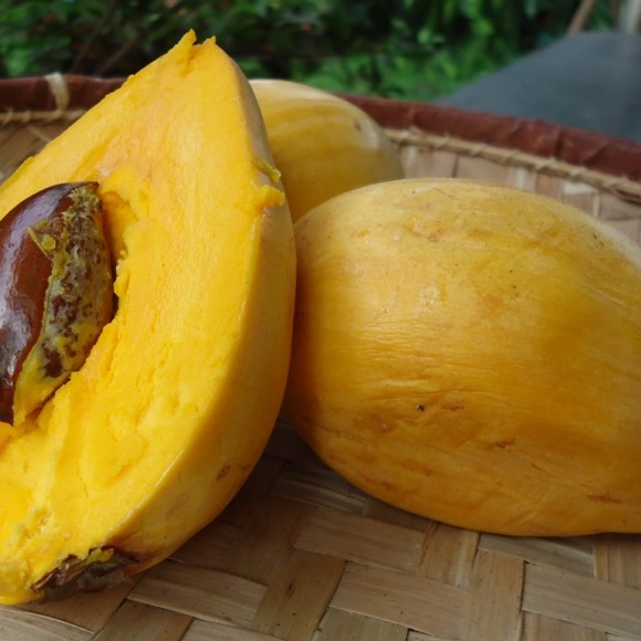 gros plan sur fruit mûr blette: stade optimal pour être consommé.