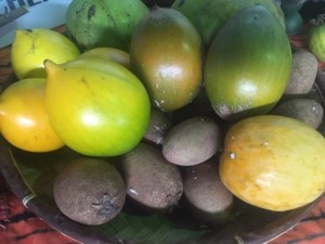 panier_sapotes