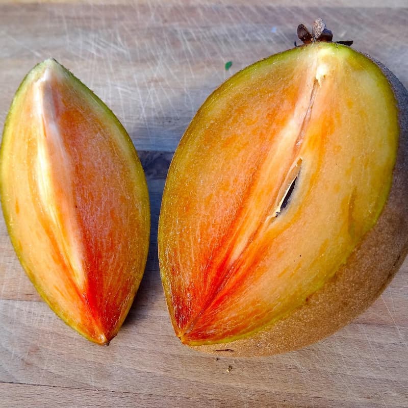 sapotille_fruit_coupe