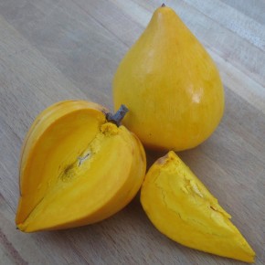 canistel_fruite_coupe